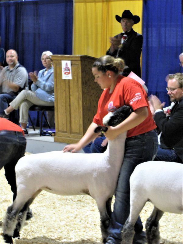 Short-Livestock-2.jpg